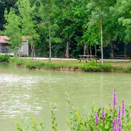 キャンプ場 Gorgeous Stacaravan In *